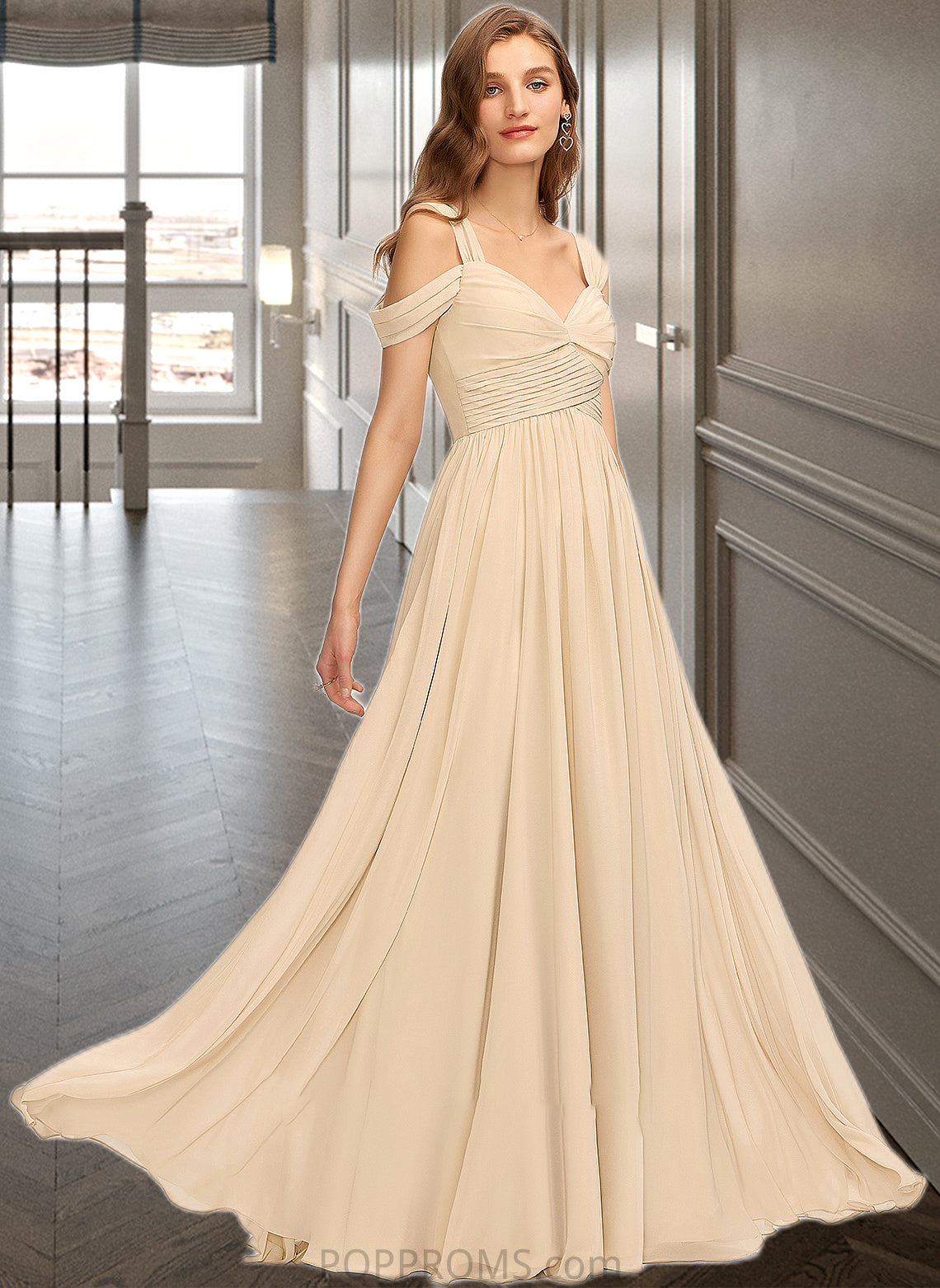 Alani A-Line V-neck Floor-Length Chiffon Bridesmaid Dress With Ruffle PP6P0013011