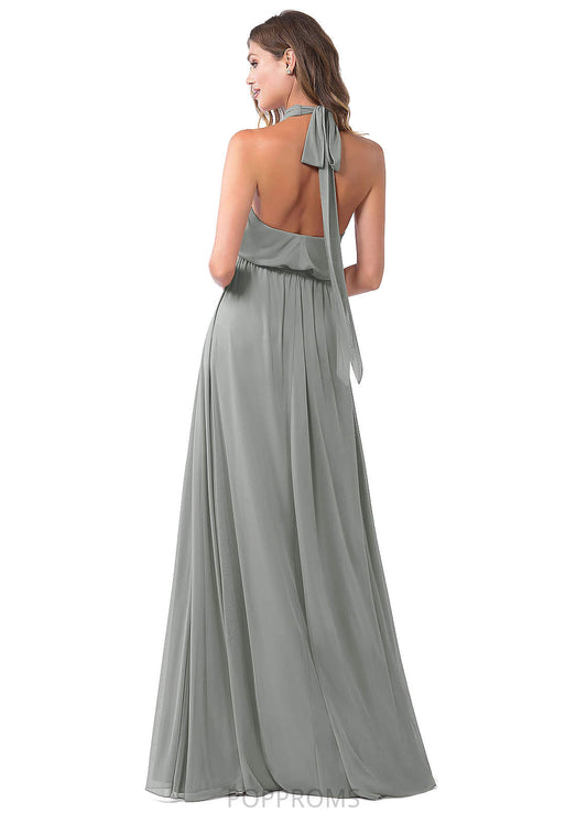 Ximena A-Line/Princess Spaghetti Staps Sleeveless Empire Waist Floor Length Bridesmaid Dresses