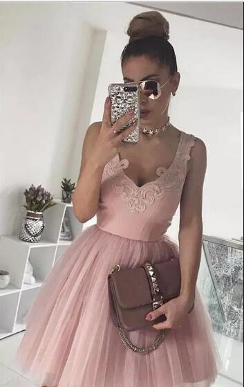 A-Line V-Neck Short Blush Tulle Gisselle Homecoming Dresses 2024 With Appliques