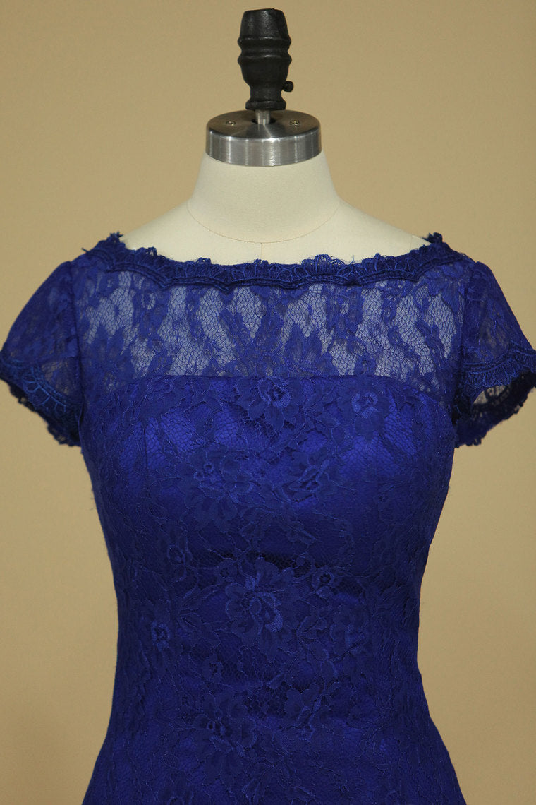 2024 Dark Royal Blue Evening Dresses Off The Shoulder With Applique Lace Knee-Length