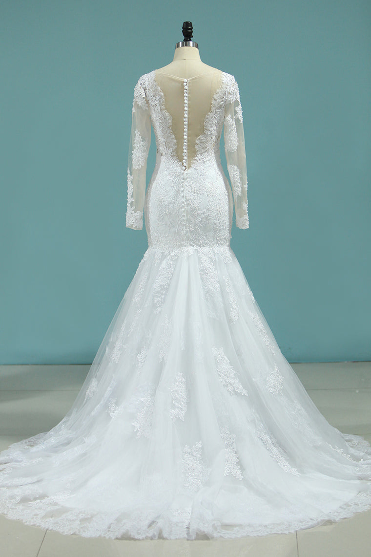 2024 Wedding Dresses Long Sleeves V Neck Mermaid Tulle With Applique