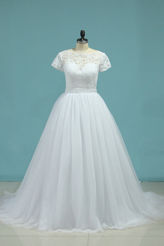 Wedding Dresses