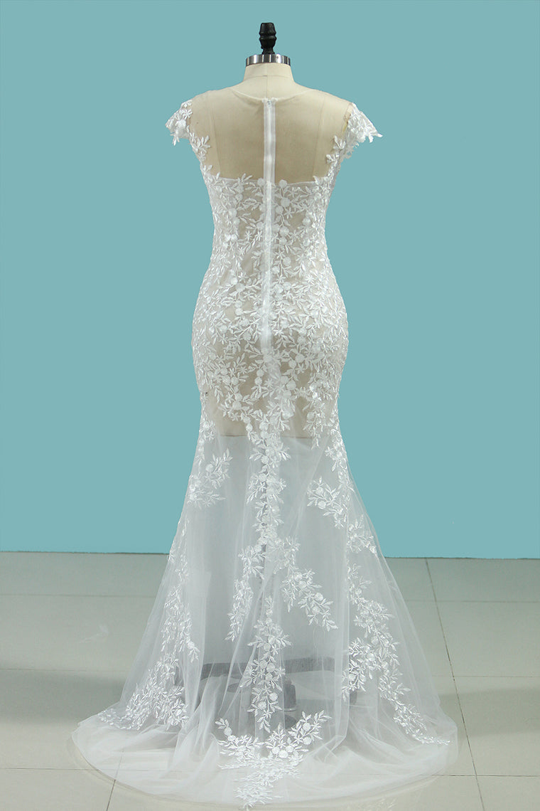 2024 Sexy Beach Scoop Wedding Dresses Sheath Lace See-Through