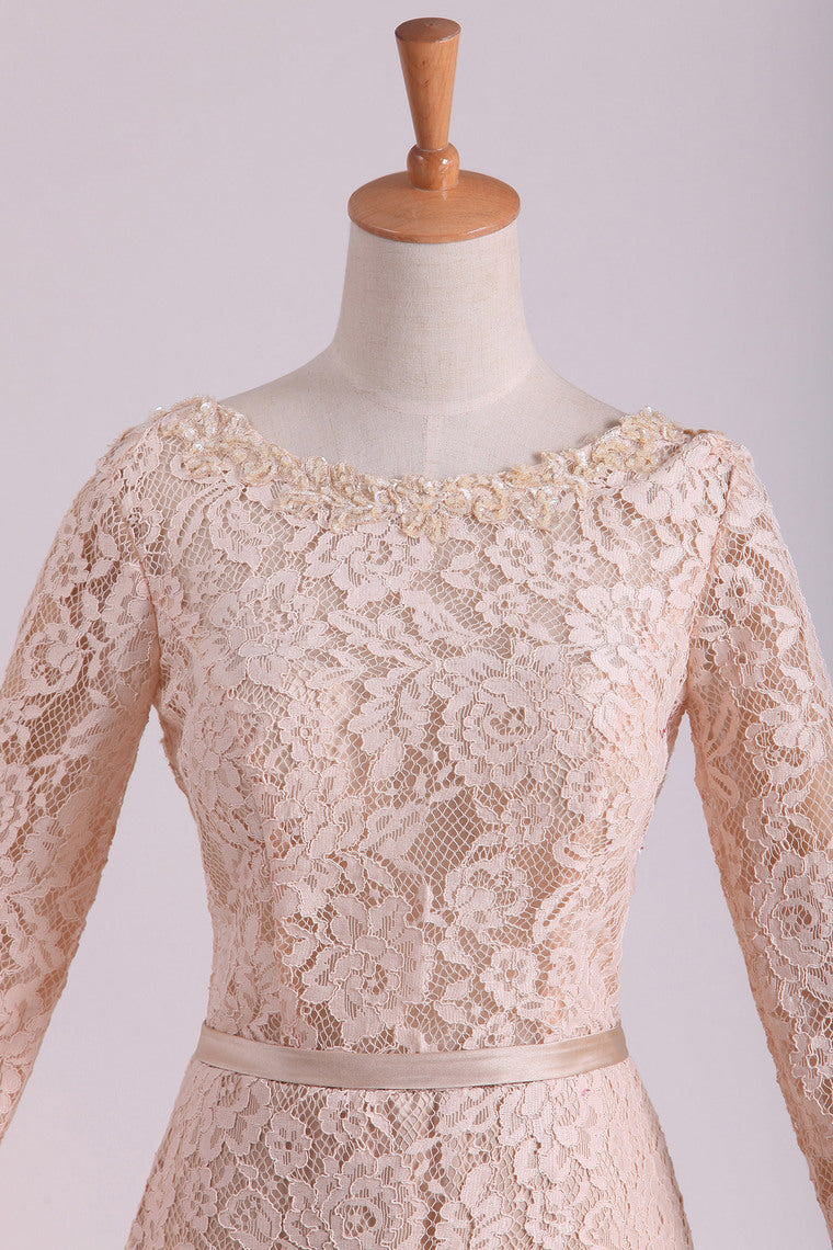 2024 Long Sleeves Wedding Dresses Scoop Lace With Sash Sweep Train Champagne