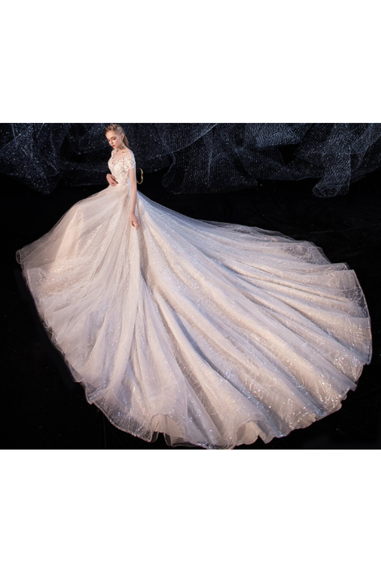 Ball Gown Tulle Wedding Dresses Short Sleeves Appliques Court Train