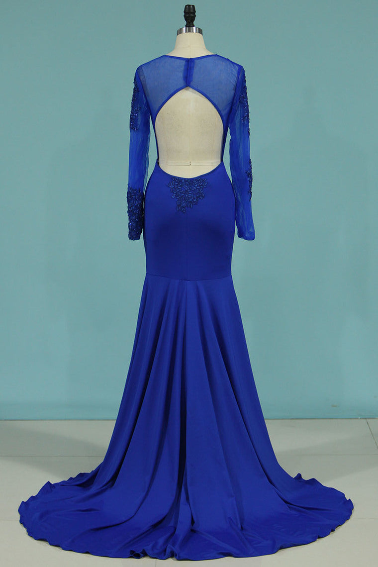 2024 Mermaid Blue Prom Dress Long Sleeves