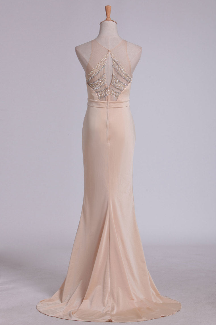 2024 Evening Dresses Sheath Scoop Spandex With Beading Sweep Train