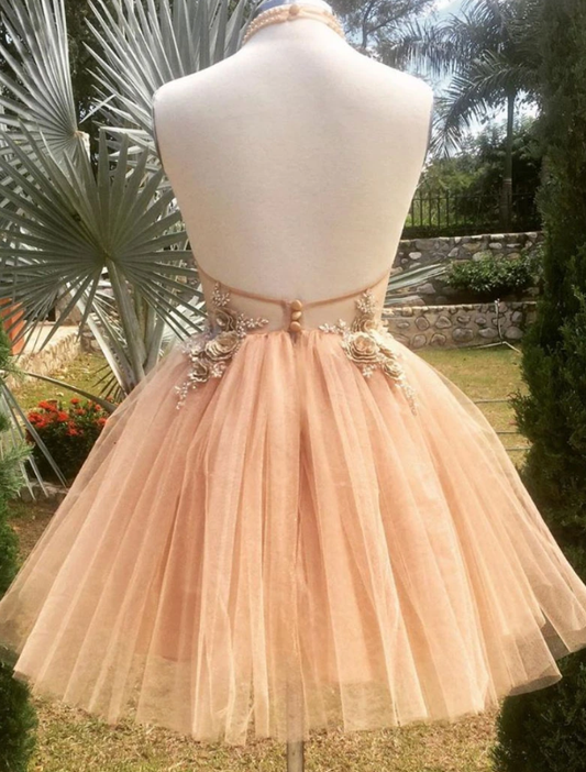 Champagne High Neck Lace Jayda Homecoming Dresses Tulle Short Dress Tulle Formal Dress XXA12654