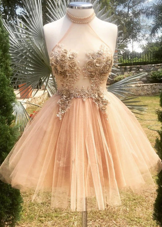 Champagne High Neck Lace Jayda Homecoming Dresses Tulle Short Dress Tulle Formal Dress XXA12654