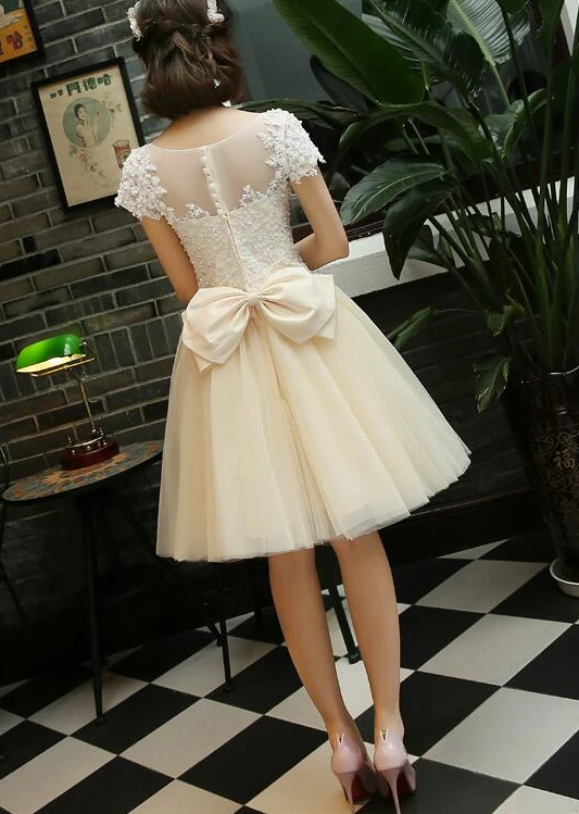 Light Champagne Tulle Short Party Lace Homecoming Dresses Raina Dress Applique With Beadings XXA13078