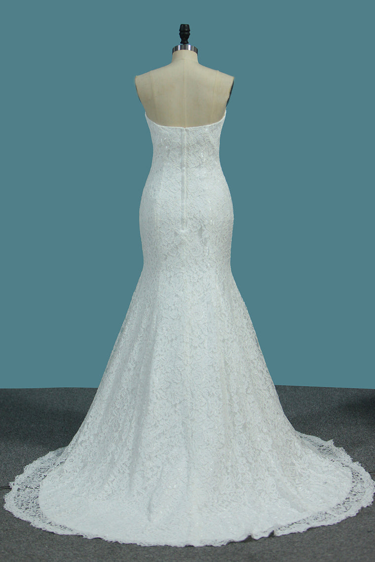 2024 New Arrival Lace Mermaid Sweetheart Sweep Train Wedding Dresses