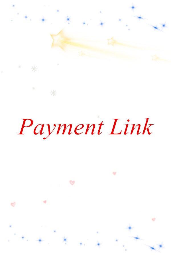 Payment Link